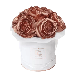 Splendid Infinity Rosebox | Rose Gold | XS