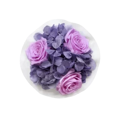 Splendid Hydrangea Mix Infinity Rosebox | Baby Lilli & Violet Vain | XS -Emmie Gray Store XS Top Infinity Hydrogenia Mix BabyLilli VelvetPlum 1280x1280
