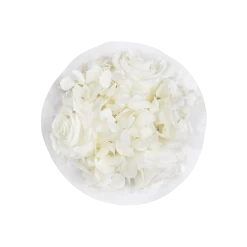 Splendid Hydrangea Infinity Rosebox | Pure White | XS -Emmie Gray Store XS Top Infinity Hydrogenia PureWhite 1280x1280