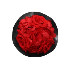 Splendid Hydrangea Infinity Rosebox | Vibrant Red | XS -Emmie Gray Store XS Top Infinity Hydrogenia VibrantRed 1280x1280 1