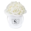 Splendid Hydrangea Infinity Rosebox | Pure White | XS -Emmie Gray Store XWR Infinity Hydrogenia PureWhite 1280x1280