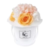 Splendid Hydrangea Mix Infinity Rosebox | Perfect Peach & Pure White | XS -Emmie Gray Store XWR PerfectPeach Mix Hydreanga 1280x1280