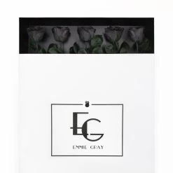 Long Stem Infinity Rose | Black Beauty | 5 Roses