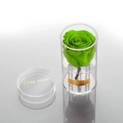 Crystal Infinity | Green Glow | ONE SIZE -Emmie Gray Store greenglow button1 1280x1280