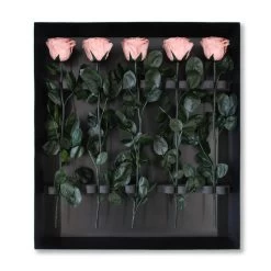 Classic Vase Set | Antique Pink | 10 ROSES -Emmie Gray Store grosser karton offen AntiquePink 1280x1280 1