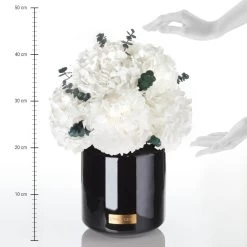 Premium Metallic Signature Hydrangea Infinity | Vibrant Red | L -Emmie Gray Store hortensie lineal black 1280x1280 2