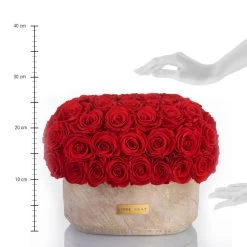 Premium Solid Splendid Infinity | Vibrant Red | L -Emmie Gray Store lineal solid vibrantred oval L 1280x1280