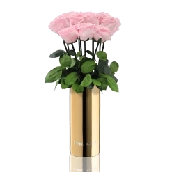 Classic Vase Set | Bridal Pink | 10 ROSES