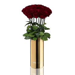 Classic Vase Set | Burgundy | 10 ROSES