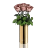 Classic Vase Set | Rose Gold | 10 ROSES