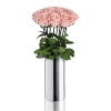 Classic Vase Set | Antique Pink | 10 ROSES