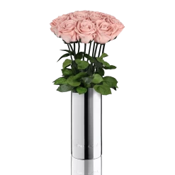 Classic Vase Set | Antique Pink | 10 ROSES