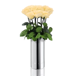Classic Vase Set | Champagne | 10 ROSES