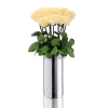 Classic Vase Set | Champagne | 10 ROSES