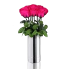 Classic Vase Set | Hot Pink | 10 ROSES 2 Classic Vase Set | Hot Pink | 10 ROSES -Emmie Gray Store longstem silber Hotpink10 1280x1280 1