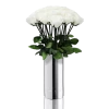 Classic Vase Set | Pure White | 15 ROSES -Emmie Gray Store longstem silber Purewhite15 1280x1280 1