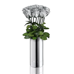 Classic Vase Set | Silver | 10 ROSES