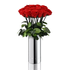 Classic Vase | Silver | ONE SIZE -Emmie Gray Store longstem silber Vibrantred15 1280x1280 1