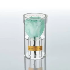 Crystal Infinity | Minty Green | ONE SIZE