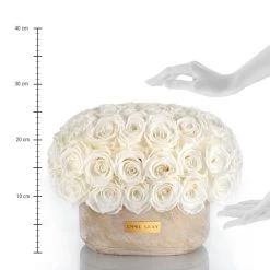 Premium Solid Splendid Infinity | Rose Gold | M -Emmie Gray Store oval solid M purewhite lineal 1280x1280 8