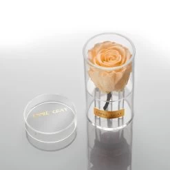 Crystal Infinity | Perfect Peach | ONE SIZE -Emmie Gray Store perfectpeach button1 1280x1280 2