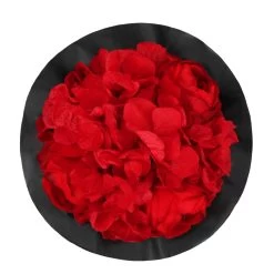 Splendid Peony Infinity Rosebox | Vibrant Red | XS -Emmie Gray Store pfingsrose red xs oben 1280x1280