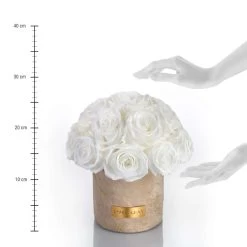 Premium Solid Splendid Infinity | Gold | M -Emmie Gray Store purewhite M lineal solidneu 1280x1280