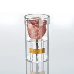 Crystal Infinity | Rose Gold | ONE SIZE