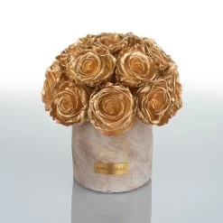 Premium Solid Splendid Infinity | Gold | S