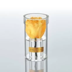 Crystal Infinity | Sunny Yellow | ONE SIZE