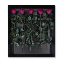 Classic Vase Set | Velvet Plum | 15 ROSES -Emmie Gray Store velvetplum karton offen 5a neu 1280x1280 1