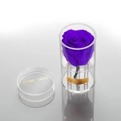 Crystal Infinity | Violet Vain | ONE SIZE -Emmie Gray Store violetvain button1 1280x1280