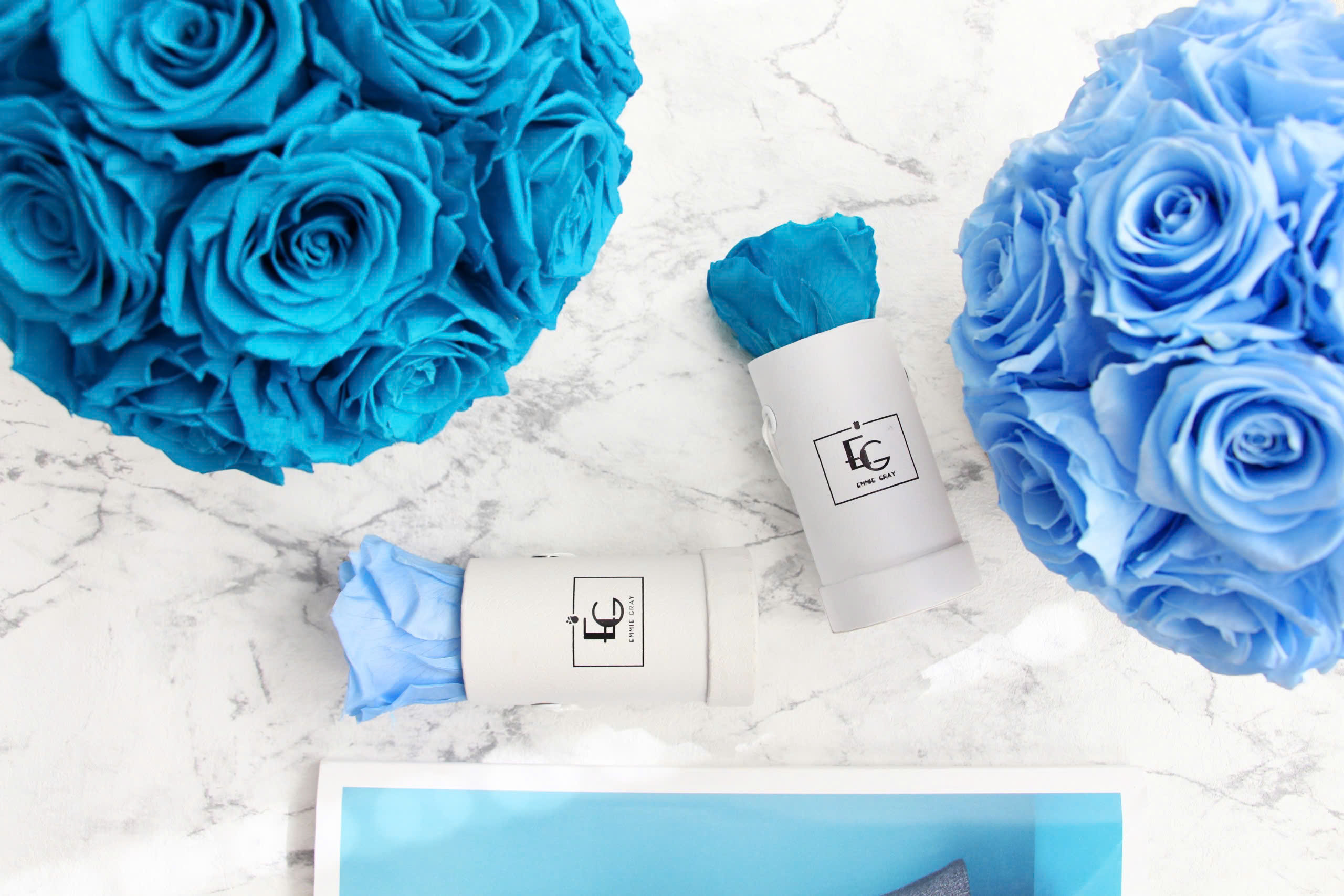 Emmie Gray Store -Emmie Gray Store z6629386504851 ad598a6c1bbe78c04ee22b4017b1500e